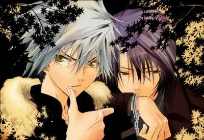 Qui sont ces personnages de manga ?