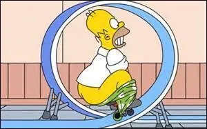 Sur cette image, Homer fait...