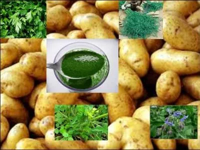 Quel plat confectionnez-vous avec les différents ingrédients présentés sur l'illustration ?