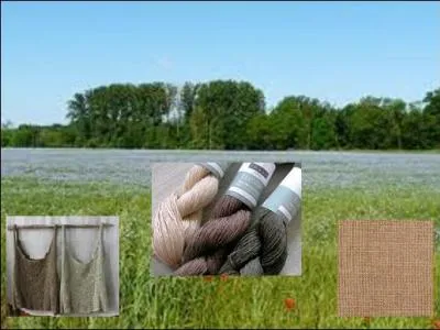 Qu'avez-vous soigneusement tricoté ?