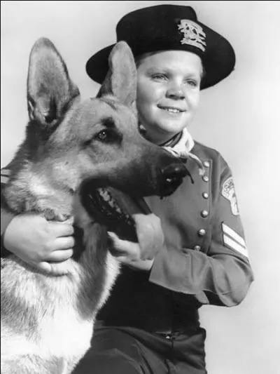 Dans la célèbre série des années 50 "Rintintin", de quelle race est le chien, héros de la série ?