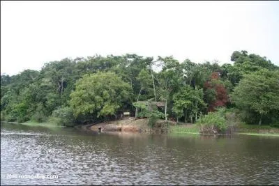 Je suis un "moabi", qui suis-je '