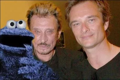 Johnny Hallyday et son fils David, ont en projet la création du tube de l'été prochain intitulé "Le petit monstre à poils bleus".