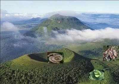 Nous sommes dans le parc naturel du Livradois-Forez, et vous dégusterez une saucisse ------- -------.