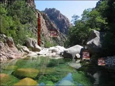 Le figatellu est corse, il comprend du maigre, du gras, du foie de porc. On l'agrémente avec diverses composantes.
Où se trouvent le bâton de figatellu et les trois tranches sur l'illustration ?