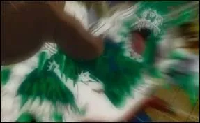 Qui l'a vaincu et comment ?