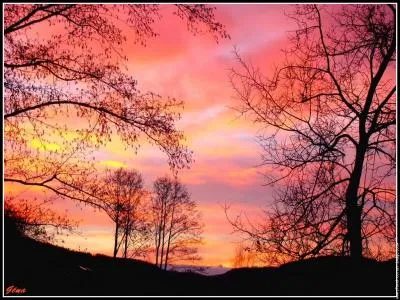Poème de François Coppée. Complétez la phrase grâce à la photo : "C'est l'heure exquise et matinale que... !