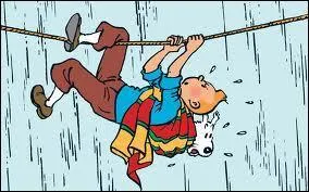 Quel est le prénom du capitaine Haddock ?