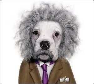 D'après ce que vous avez retenu, quelle information est fausse ?