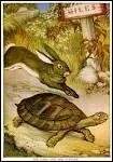 Parfois il se fait battre à la course par la tortue. Qui est-ce ?