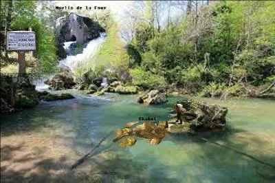 Son nom vernaculaire est Chabot de ------.
Ah, oui, j'ai failli l'écrire, et pourtant je vous demande où pêcher le Chabot qui se cache, là, dans ses jolies eaux ?
Regardez bien les indices !