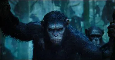 A la fin du film, quel camp choisit Cesar ?