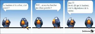 Qu'est-ce que la boulimie ?