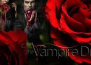 Quiz Vampires Diaries