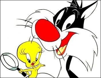 Comment se prénomme le chat ?