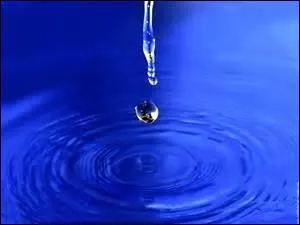 Laquelle de ces propositions est juste ?