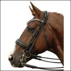 Quelle réponse parmi ces 3 propositions n'est pas une partie de la bride ?