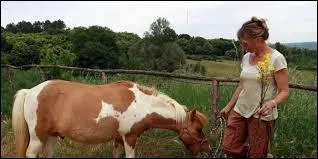 Quelle plante est mortelle pour le cheval ?