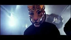 De quel clip provient cette image ?