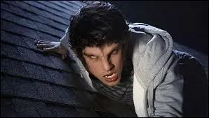 Quels sont les effet de la pleine lune sur les loups garous ?