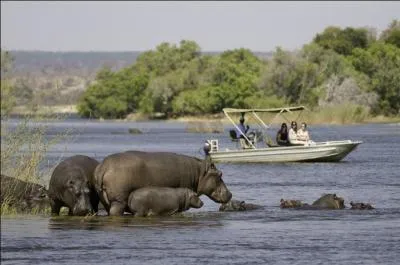 L'Okavango est le troisième fleuve d'Afrique australe par sa longueur.
Il prend sa source en Angola, traverse la Namibie et se termine par un vaste delta dans