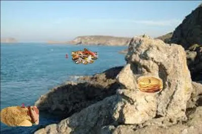 Quelle spécialité culinaire est déplacée dans ce terroir ?