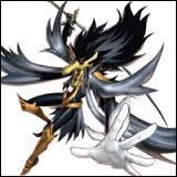 Quelle est cette carte ?