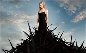 Quelle est cette série ?