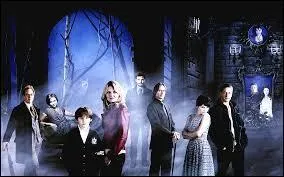 Quelle est cette série ?