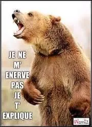 Une question détente...
Lequel de ces animaux La Fontaine n'a-t-il jamais évoqué ?