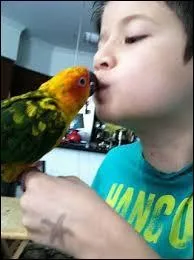 Quel est son vrai nom ?