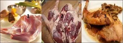 Quelles sont les cuisses des quadrupèdes ?