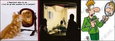 Quelle est la glace sans tain ?