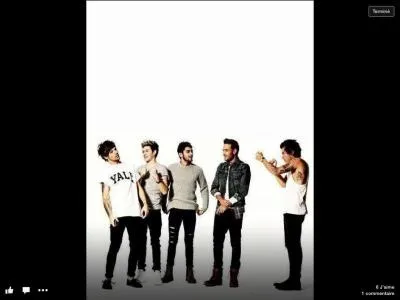 Lesquels sont célibataires ? (Août 2014)