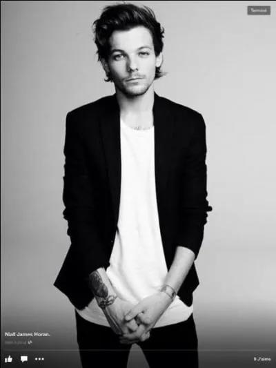 Combien de soeur(s) du nom "Tomlinson" Louis a-t-il ?