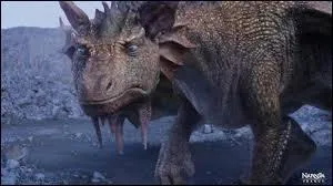 Pourquoi ?(Suite de la question 11)