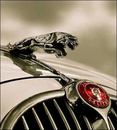 Qu'il soit de face ou bondissant, le jaguar n'est devenu le symbole de la marque qu'en 1935, soit 10 ans après sa fondation. Pourquoi ?