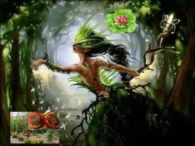 Quel nom donne-t-on aux cuisinières ?
Quels plats vous prépare-t-elle ce jour ?