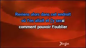 Ce grand artiste, après le succès des "Chaussettes noires" a entamé une carrière solo avec la chanson "Il y a toujours un coin qui me rappelle" en 1964. Trouvez son nom.