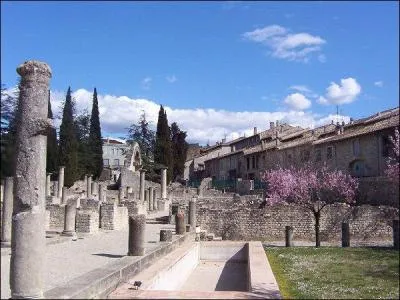 Vaison-la-Romaine comme son nom l'indique a une longue histoire, en visitant les ruines vous pourrez admirer :