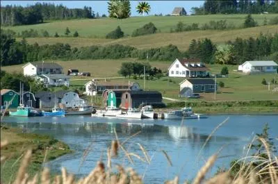 Ici, il n'y a pas de numérotation sur l'illustration. Il faut donc chercher sans être guidé.
Combien d'arbres non indigènes voyez-vous sur l'île de Malepeque au Canada ?