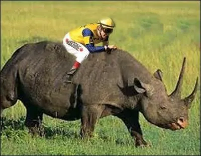 Quelle espèce de rhinocéros n'existe pas ?