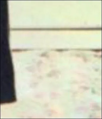 Pas de gomme : il faut dégommer ! Il s'agit de :