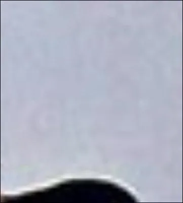 Dur, dur, cette lune cachée par la vache derrière le mur...dans :