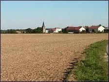 Vous avez derrière ce champ en premier plan, le village Meusien de Badonvilliers-Géronvilliers. Il se situe en région ...