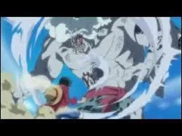 Qui est le capitaine du nouvel équipage des Hommes-Poissons ?