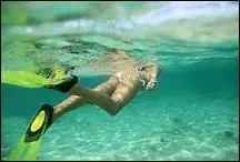 Ils peuvent "nager" dans de l'eau à 22°C, ou même plus.