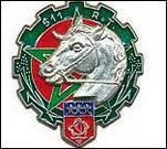 Quel est cet insigne ?