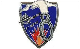 Quel est cet insigne ?