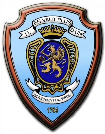 Quel est cet insigne ?